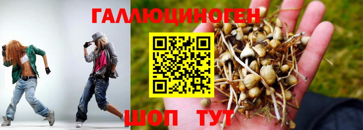 Галлюциногенные грибы Cubensis  Вход с VPN  Балтийск 